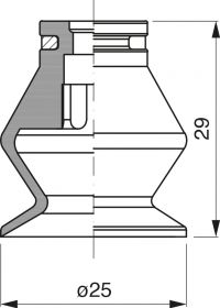 MF_25_35