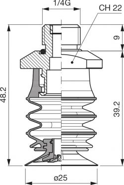 VES2570_73