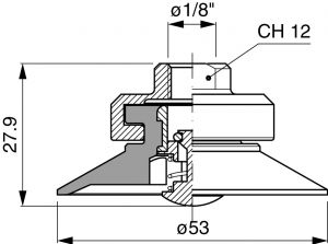 AF_50_50